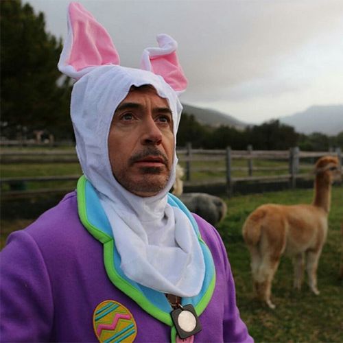Роберт дауни-младший опубликовал забавное фото в костюме пасхального кролика